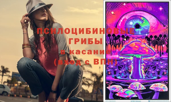 сатива Ладушкин