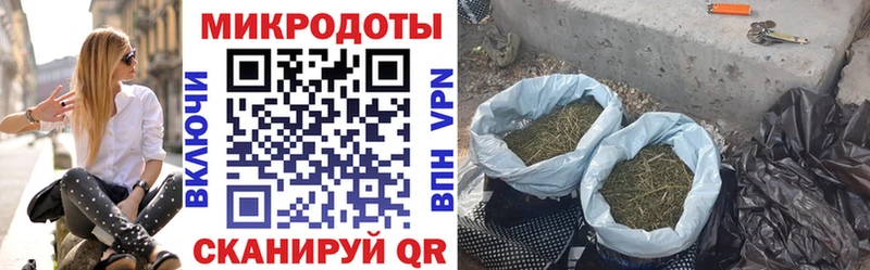 Галлюциногенные грибы Cubensis Усть-Катав